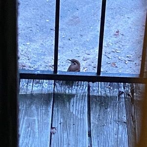 Meet your Posher, Gregory